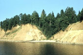 Rнo Volga