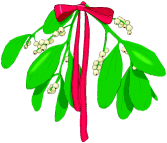 kiss me beneath the mistletoe...