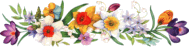a beautiful row of flowers<br>
</TD></TR></TABLE>
<br><br><br>
<TABLE cellSpacing=0 cellPadding=15 width=