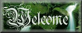 Welcome.