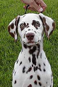 What a face!