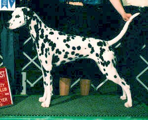 Show shot of Marla