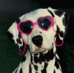 Perdie is ready for a day in the sun