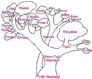Finno-Ugric language tree