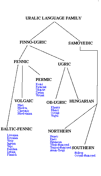 Division of Uralic Languages