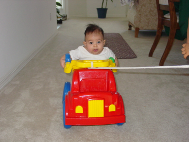 Milica in her wheels