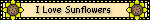 ILoveSunflowersBlinky (2K)