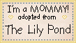 lillypondmot04cert (3K)