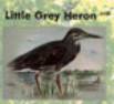 Heron