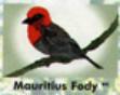 Mauritius Fody