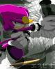 This is a picutre of espio sticking to a wall