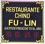 gatitos fresquitos...