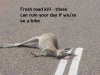 Road kill