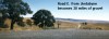NEW Road E. of Jindabyne