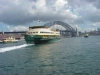 Ferry to the Zoo