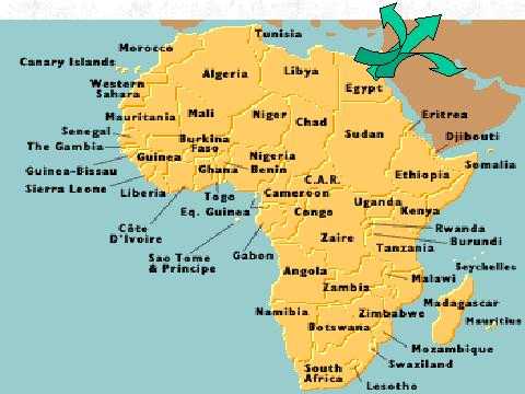 Essay About Out Of Africa Hypothesis