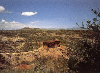Olduvai Gorge