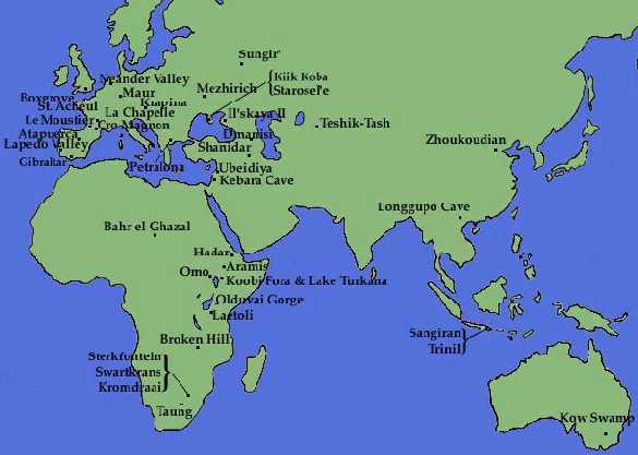 Findings of the different hominids