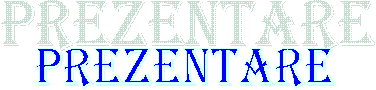 Prezentare