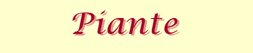 piante