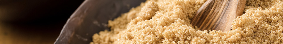 Panela
