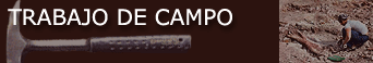 �C�mo y para qu� buscar f�siles en el campo?