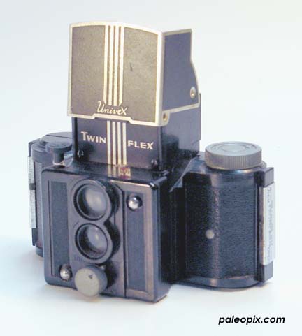 The cutest little TLR!