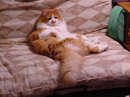 Watching TV