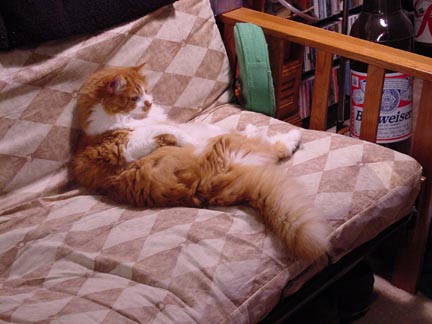 Needs a beer and the remote