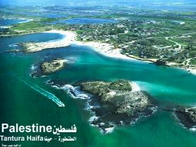 Haifa - Tantoora