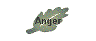 Anger