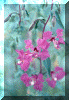 flower1.gif (166503 bytes)