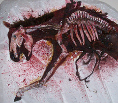 eviscerated horse: foreced perspecitve miniature