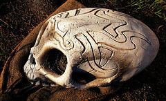 Large alien skull