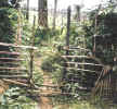 Gate1.JPG (119648 bytes)