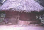 Patawi.jpg (90191 bytes)