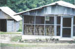 Sheila's house.jpg (108457 bytes)