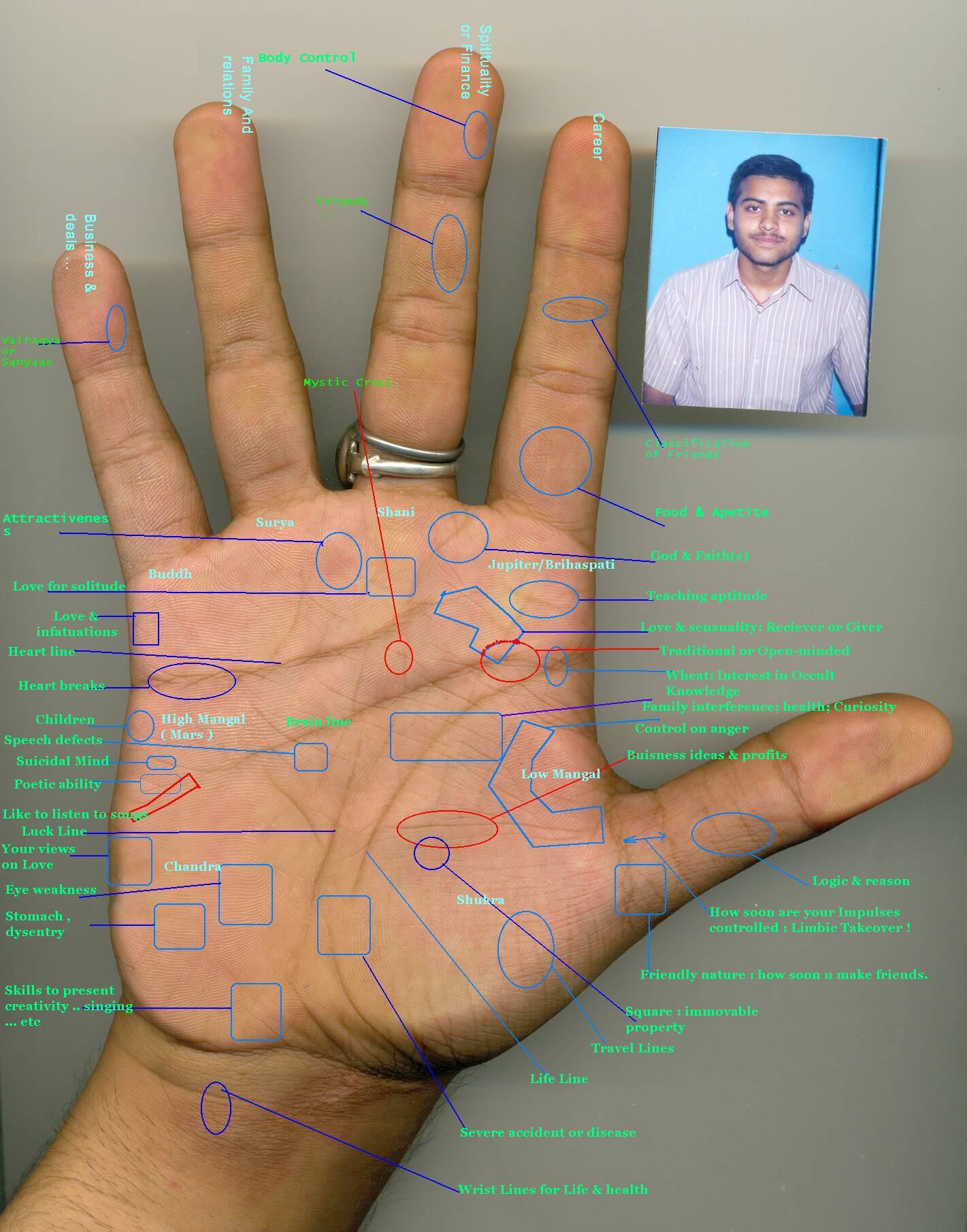 The basic Concepts of palmistry