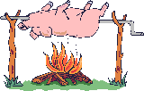 pig