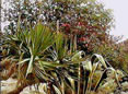 Check availability and book your holiday villa