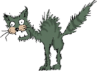 /user/Cat.gif