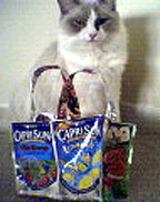 Capri Sun Tote