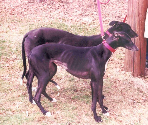 Sara is a teeny gal!