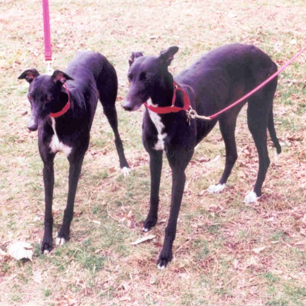 small Big Sara and medium Mimi