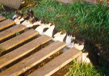 Ducks in a Row
