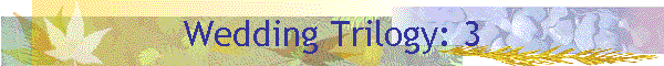 Wedding Trilogy: 3