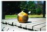 Gourd #2