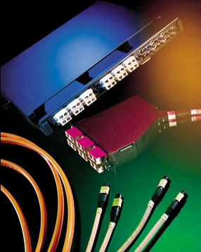 Home Page Image