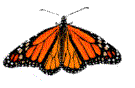PAPILLON PAGE