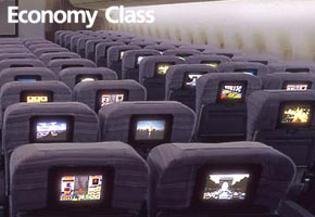 Economy Class in Flight